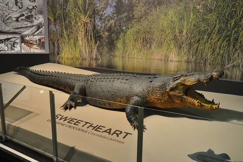 Explore Darwin City Sights Including Key Attractions - Accommodation Perth 2
