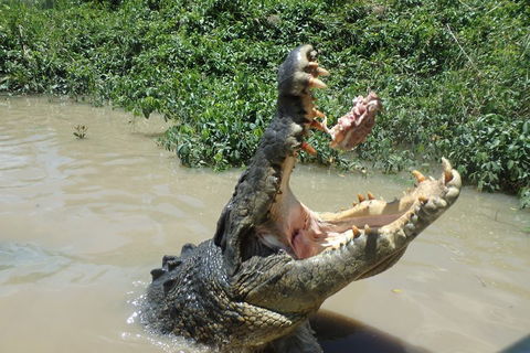 Litchfield And Jumping Crocodiles Full Day Trip From Darwin - Accommodation Perth 3