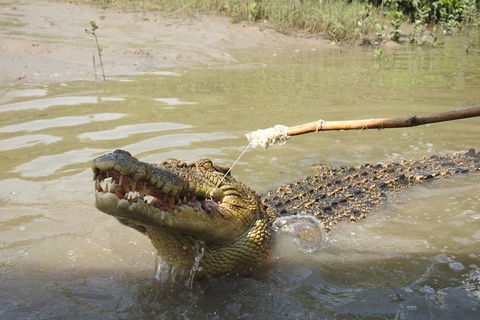 Litchfield And Jumping Crocodiles Full Day Trip From Darwin - Accommodation Perth 4