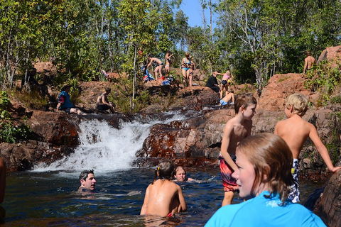 Litchfield And Jumping Crocodiles Full Day Trip From Darwin - Accommodation Perth 5