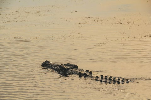 Yellow Water Cruise - Kakadu - Accommodation Perth 2