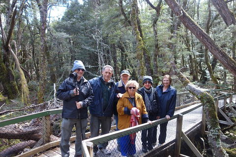 Blue Mountains Private Tour With Wildlife Park And River Cruise - Accommodation Perth 2
