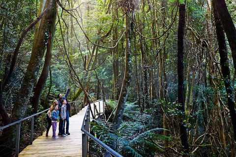 Blue Mountains Private Tour With Wildlife Park And River Cruise - Accommodation Perth 4