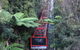 Blue Mountains Private Full-Day Tour From Sydney With Cruise - thumb 5