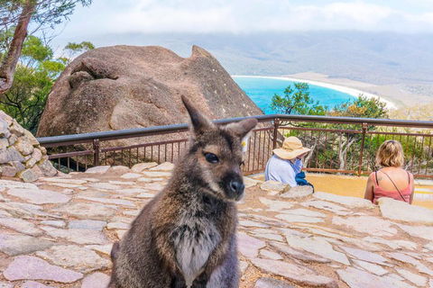Wineglass Bay & Freycinet NP Full Day Tour From Hobart Via Richmond Village - Accommodation Perth 0