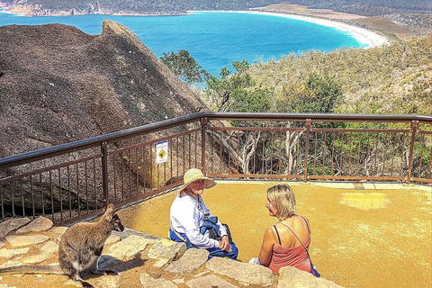 Wineglass Bay & Freycinet NP Full Day Tour From Hobart Via Richmond Village - Accommodation Perth 1