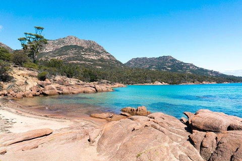 Wineglass Bay & Freycinet NP Full Day Tour From Hobart Via Richmond Village - Accommodation Perth 5