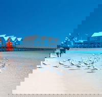 Margaret River and Geographe Bay Region Day Trip from Perth - Accommodation Perth