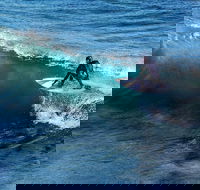 Great Ocean Road Highlights Tour - 2 Days 1 Night - Accommodation Perth