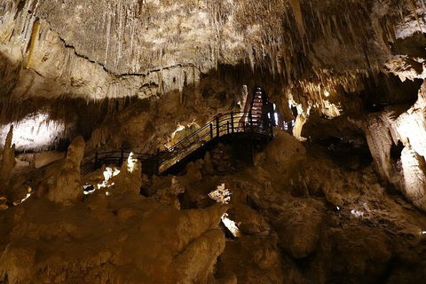 Ngilgi Cave Semi-guided Tour - Accommodation Perth 2