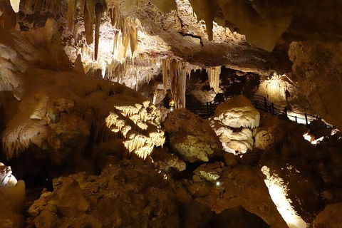Ngilgi Cave Semi-guided Tour - Accommodation Perth 3
