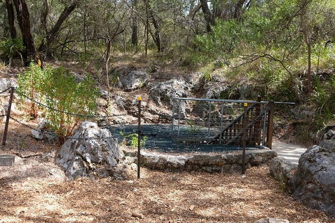 Ngilgi Cave Semi-guided Tour - Accommodation Perth 4