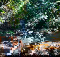 Aquaduck  Your choice of Gold Coast Rainforest Tour - Accommodation Perth