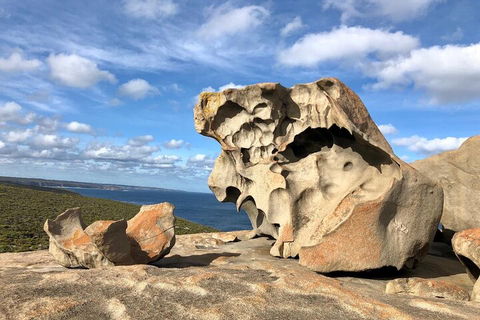 Kangaroo Island 4WD Tour - Best Of KI In 2 Days - Accommodation Perth 5