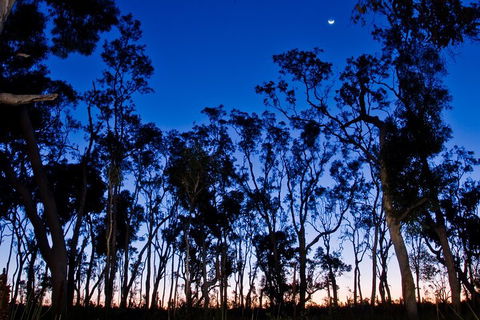 Small-Group Kangaroo Island 4WD Night Tour - Accommodation Perth 2
