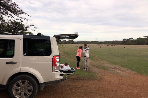 Kangaroo Island 4WD Tour - Flinders Chase - Accommodation Perth 3