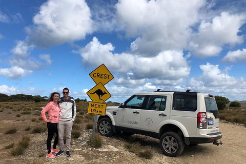 Kangaroo Island 4WD Tour - Best Of KI - Accommodation Perth 5