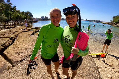 Manly Snorkel Trip And Nature Walk With Local Guide - Accommodation Perth 1