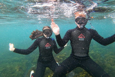 Manly Snorkel Trip And Nature Walk With Local Guide - Accommodation Perth 3