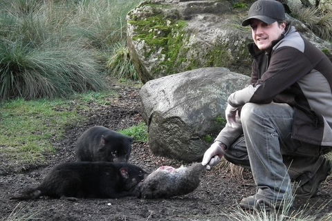 After Dark Tasmanian Devil Feeding Tour At Cradle Mountain - Accommodation Perth 2