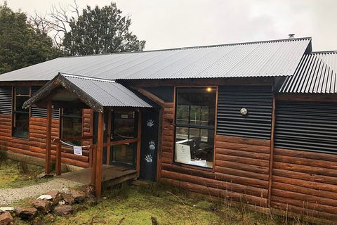 After Dark Tasmanian Devil Feeding Tour At Cradle Mountain - Accommodation Perth 3