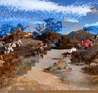 The Big Wave Rock Private Day Tour - Accommodation Perth