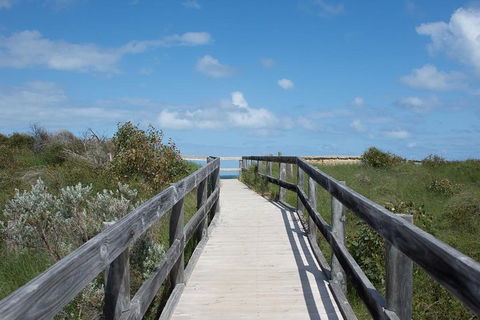 Yanchep & Lancelin - Wildlife, Cave And Sands - Accommodation Perth 2