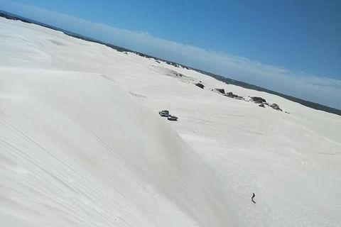 Yanchep & Lancelin - Wildlife, Cave And Sands - Accommodation Perth 3