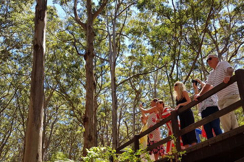 The All About Margaret River Tour: Wine, Coffee, Lunch And Forest - Accommodation Perth 3