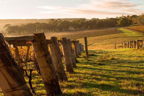 The All About Margaret River Tour: Wine, Coffee, Lunch And Forest - Accommodation Perth 5