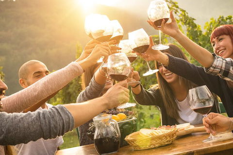 Yarra Valley, Dandenong Ranges Inc. Lunch With Wine,plus Morning Tea,chocolate - Accommodation Perth 4