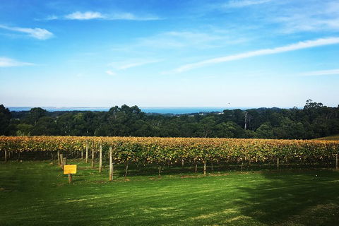Yarra Valley Private Car Winery Tour And Chocolate.1-7 Passengers One Car Price - Accommodation Perth 0