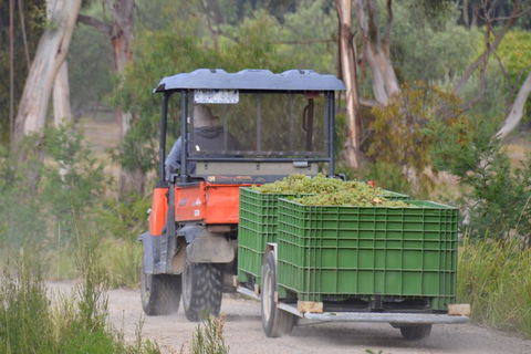 Yarra Valley Private Car Winery Tour And Chocolate.1-7 Passengers One Car Price - Accommodation Perth 1