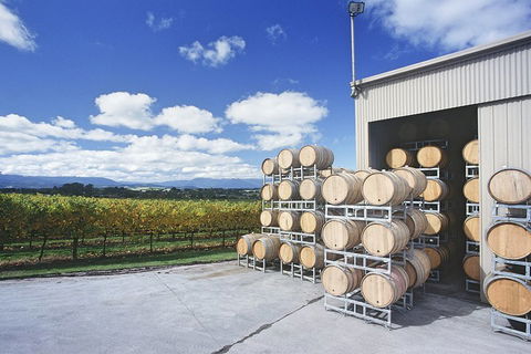 Yarra Valley Private Car Winery Tour And Chocolate.1-7 Passengers One Car Price - Accommodation Perth 2
