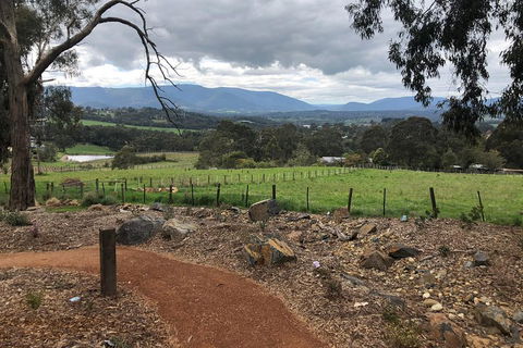 Yarra Valley Wine Tour Inc Lunch With A Glass Of Wine, Tastings And Chocolate - Accommodation Perth 0