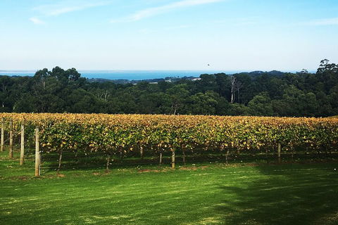 Yarra Valley Wine Tour Inc Lunch With A Glass Of Wine, Tastings And Chocolate - Accommodation Perth 2