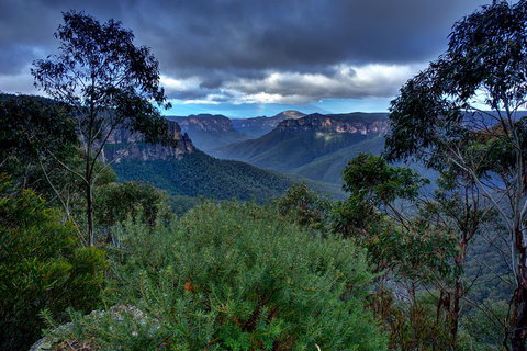 Ultimate Blue Mountains And Wildlife Tour - Accommodation Perth 1