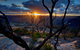 Ultimate Blue Mountains And Wildlife Tour - thumb 2