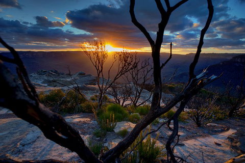 Ultimate Blue Mountains And Wildlife Tour - Accommodation Perth 2
