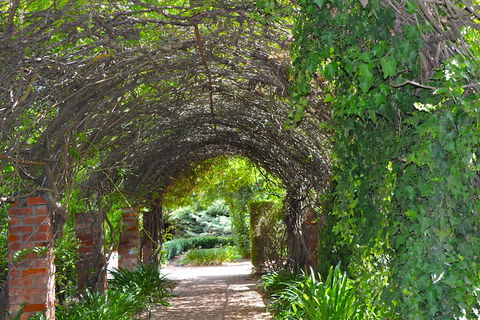 Barossa Valley Cellar Doors Luxury Wine Tour - Accommodation Perth 3