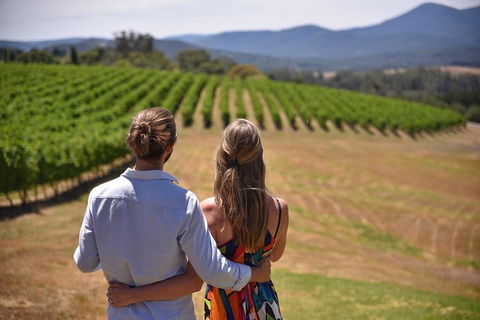 Yarra Valley Wine, Bubbles And Gin Tour! - Accommodation Perth 4