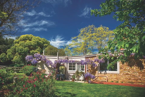 McLaren Vale Winery Small Group Tour With Wine Tasting And Lunch - Accommodation Perth 2