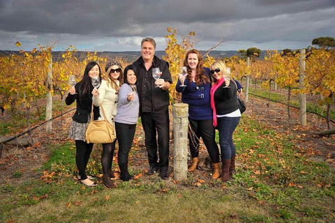 McLaren Vale Winery Small Group Tour With Wine Tasting And Lunch - Accommodation Perth 3