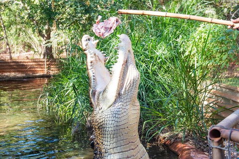 3 In 1 Tour: Matsoâ€™s Brewery, Broome Museum & Malcolm Douglas Crocodile Park - Accommodation Perth 3