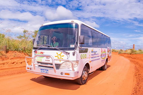 Malcolm Douglas Crocodile Park Tour Including Transportation - Accommodation Perth 3