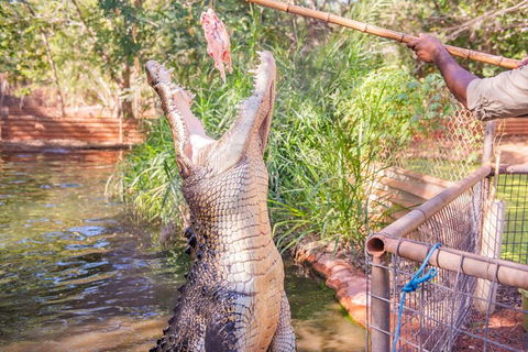 Malcolm Douglas Crocodile Park Tour Including Transportation - Accommodation Perth 5