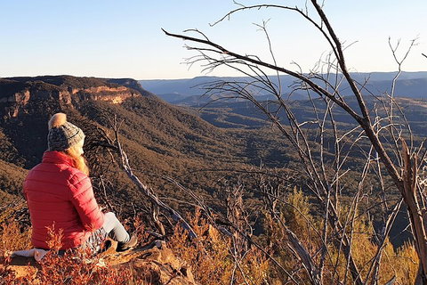 Ultimate Blue Mountains Waterfalls, Walks & Sunset PRIVATE Tour - Accommodation Perth 2
