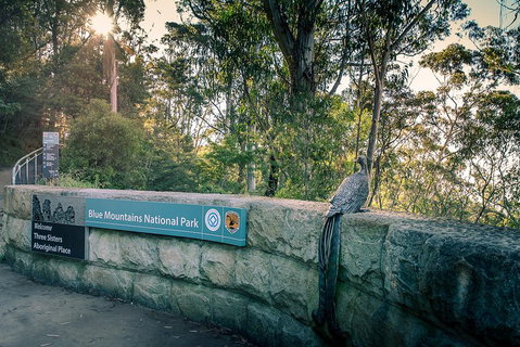 Ultimate Blue Mountains Waterfalls, Walks & Sunset PRIVATE Tour - Accommodation Perth 3