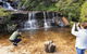 Blue Mountains Small Group Tour Enjoy A Sleep In, Waterfalls, Sunset & Dinner - thumb 2