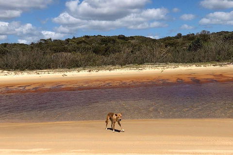 Pippies 3 Days 2 Nights Fraser Island Tour - Accommodation Perth 2